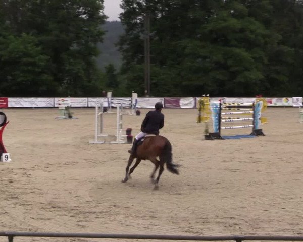 Reitturnier Haiger-Rodenbach, Drei-Länder-Challenge 2017