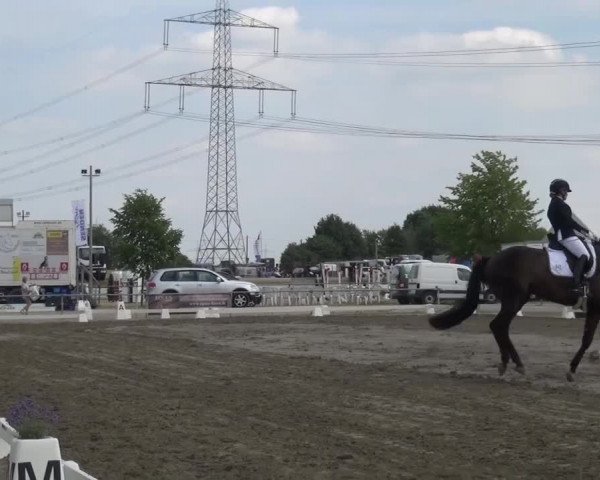 Reitturnier Heinsberg 2017