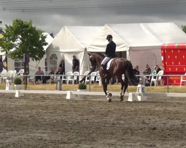 Reitturnier Heinsberg 2017