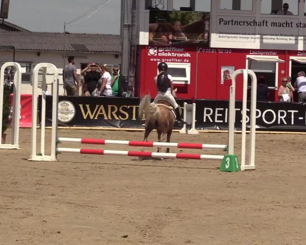 Reitturnier Dortmund-Asseln 2017