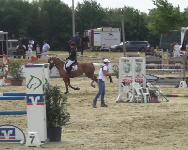 Reitturnier Heinsberg 2017
