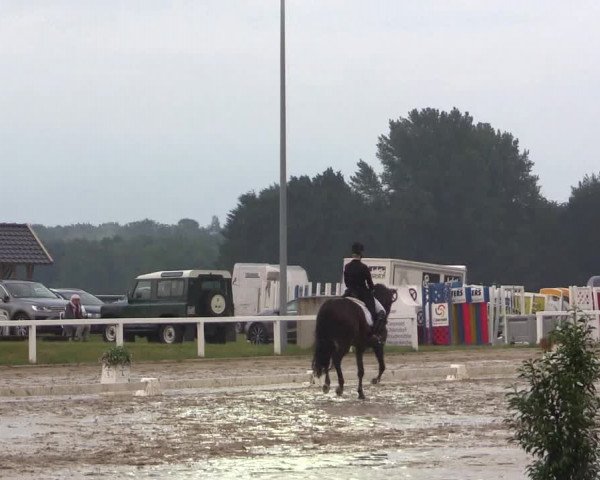 Reitturnier Melle-Ostenfelde 2017
