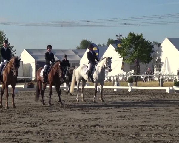 Reitturnier Heinsberg 2017