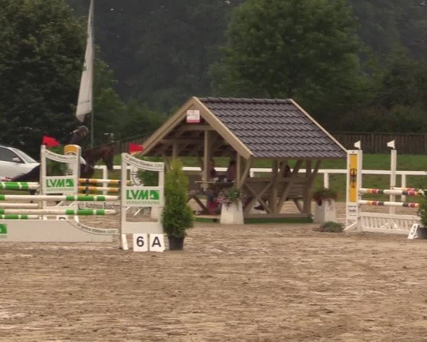 Reitturnier Melle-Ostenfelde 2017