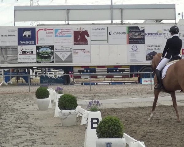 Reitturnier Heinsberg 2017