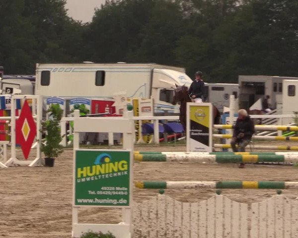 Reitturnier Melle-Ostenfelde 2017