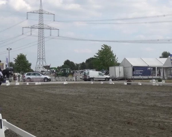 Reitturnier Heinsberg 2017