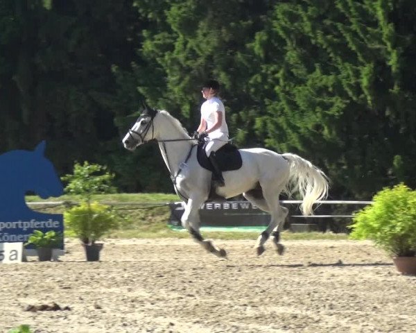 Reitturnier Burscheid-Paffenlöh 2017