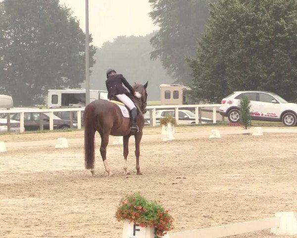 Reitturnier Melle-Ostenfelde 2017
