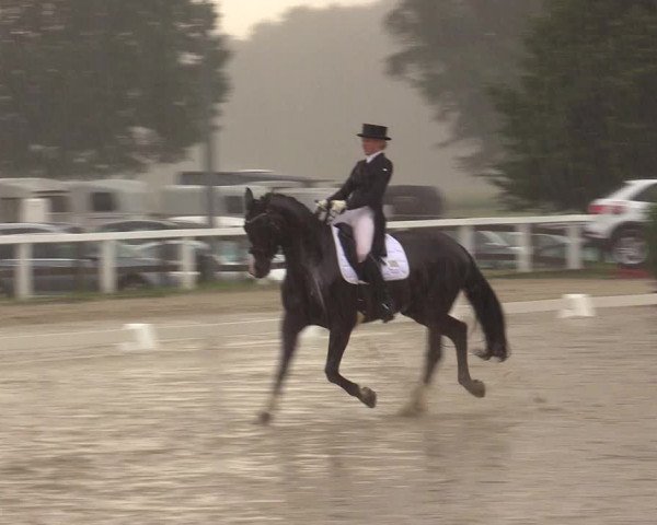 Reitturnier Melle-Ostenfelde 2017