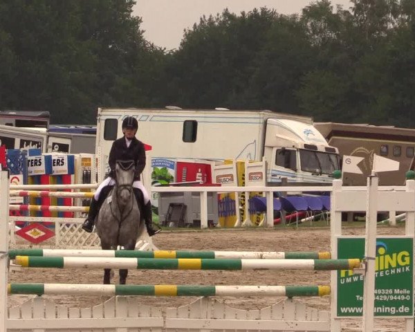 Reitturnier Melle-Ostenfelde 2017