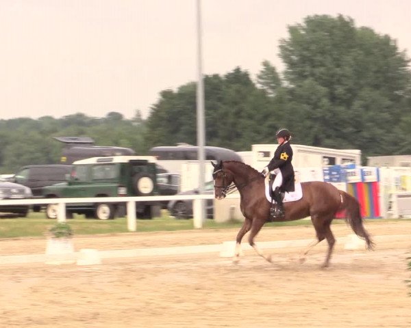 Reitturnier Melle-Ostenfelde 2017