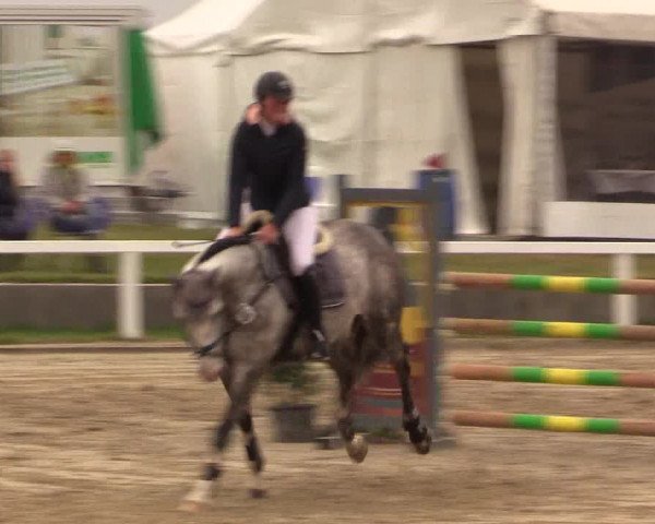 Reitturnier Melle-Ostenfelde 2017