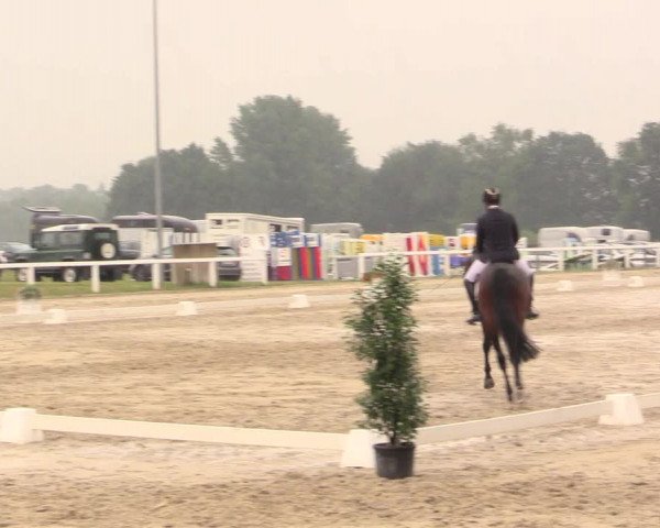 Reitturnier Melle-Ostenfelde 2017