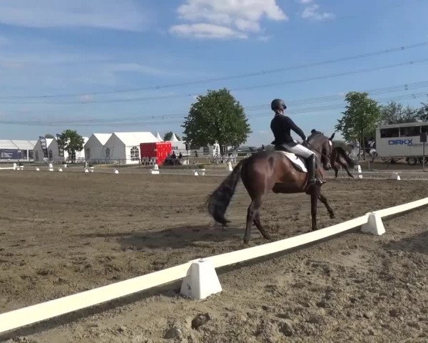 Reitturnier Heinsberg 2017