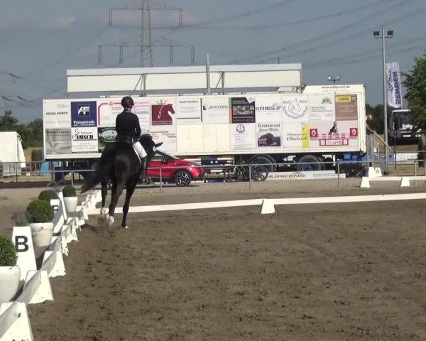 Reitturnier Heinsberg 2017