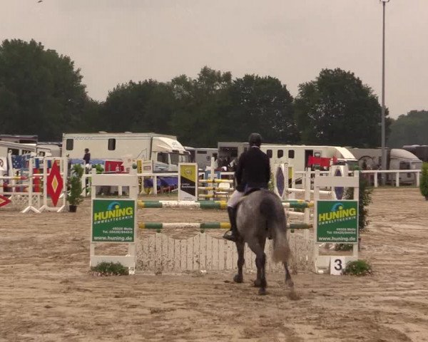 Reitturnier Melle-Ostenfelde 2017