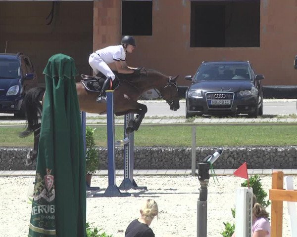 Reitturnier Ingolstadt-Hagau 2017