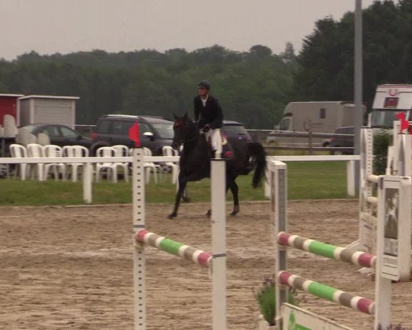 Reitturnier Melle-Ostenfelde 2017