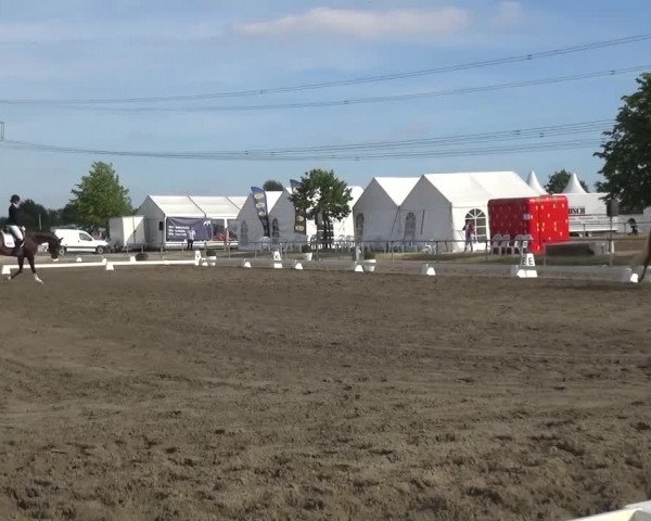 Reitturnier Heinsberg 2017