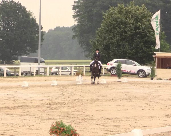 Reitturnier Melle-Ostenfelde 2017