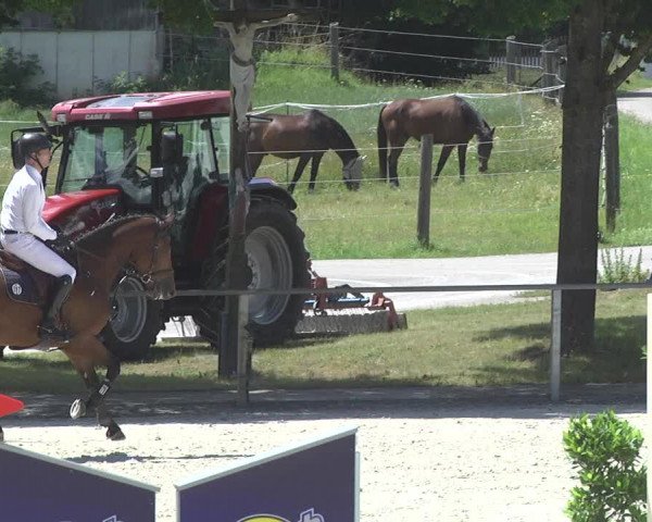 Reitturnier Ingolstadt-Hagau 2017