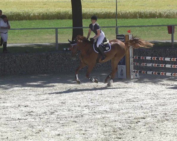 Reitturnier Ingolstadt-Hagau 2017