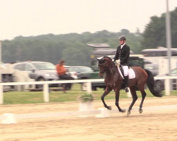 Reitturnier Melle-Ostenfelde 2017