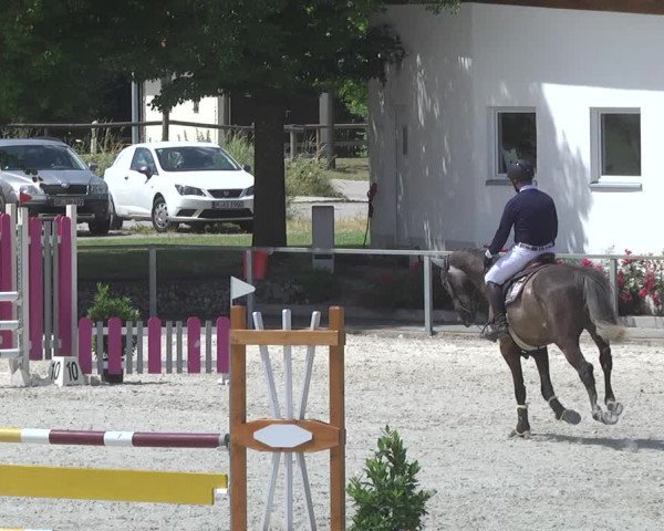 Reitturnier Ingolstadt-Hagau 2017