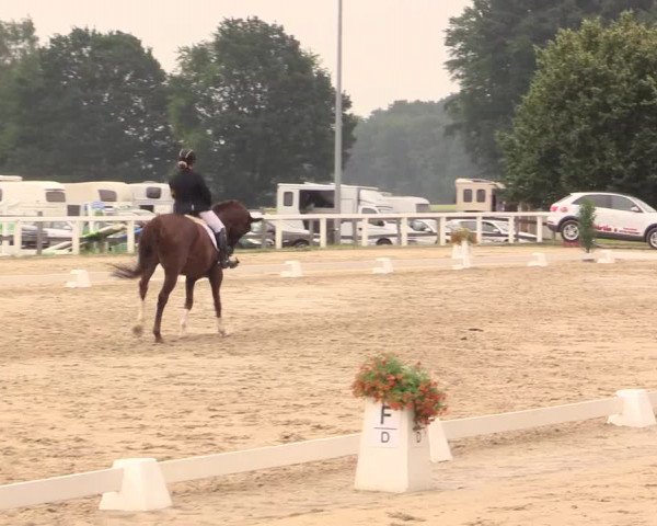 Reitturnier Melle-Ostenfelde 2017