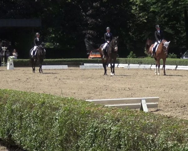 Reitturnier Krefeld - Reitanlage Kühnen 2017