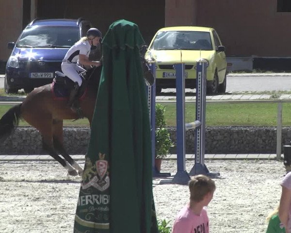 Reitturnier Ingolstadt-Hagau 2017