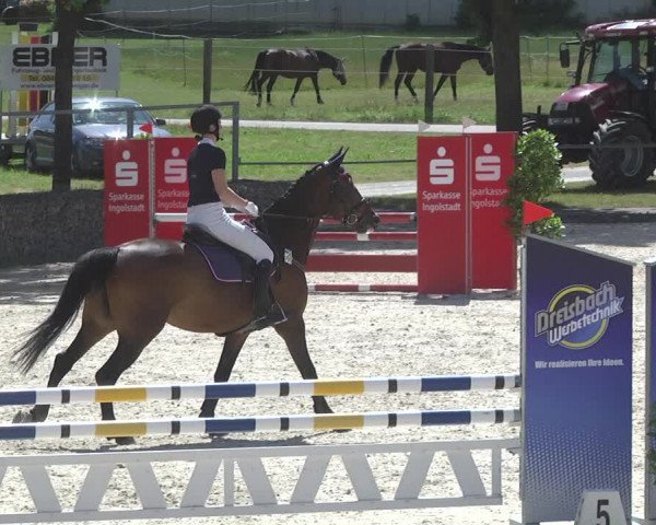 Reitturnier Ingolstadt-Hagau 2017