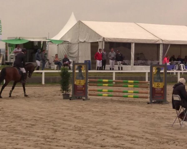 Reitturnier Melle-Ostenfelde 2017
