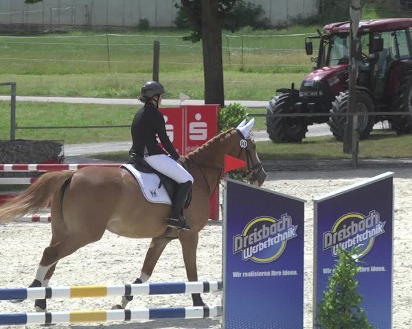 Reitturnier Ingolstadt-Hagau 2017