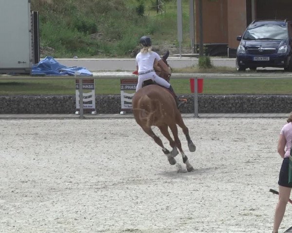 Reitturnier Ingolstadt-Hagau 2017