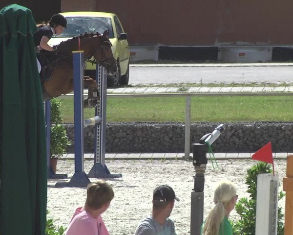 Reitturnier Ingolstadt-Hagau 2017