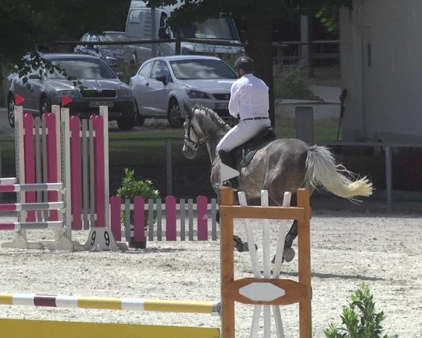 Reitturnier Ingolstadt-Hagau 2017