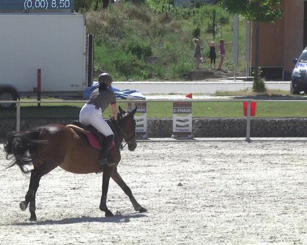 Reitturnier Ingolstadt-Hagau 2017