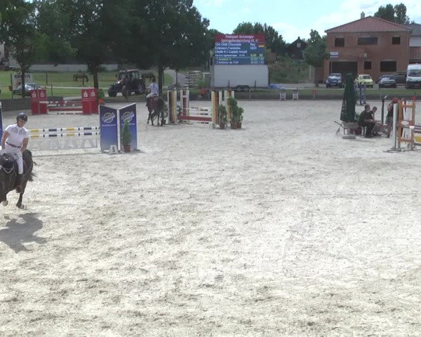 Reitturnier Ingolstadt-Hagau 2017