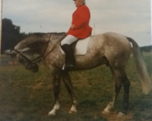 horse Goldcup (Rhinelander, 1990, from Goldcup)