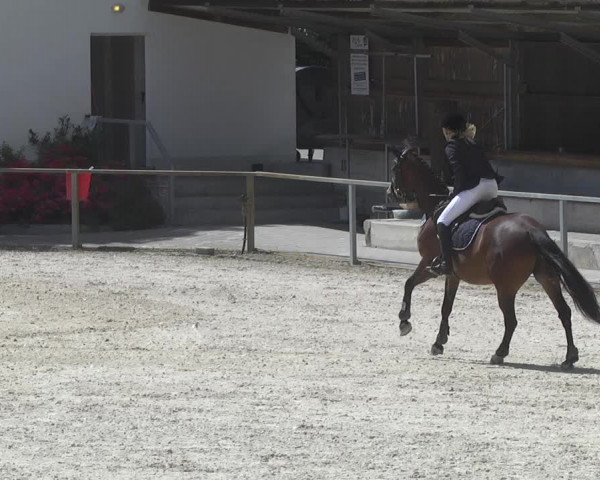Reitturnier Ingolstadt-Hagau 2017