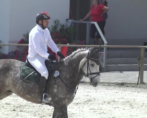 Reitturnier Ingolstadt-Hagau 2017