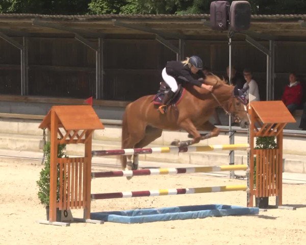 Reitturnier Ingolstadt-Hagau 2017