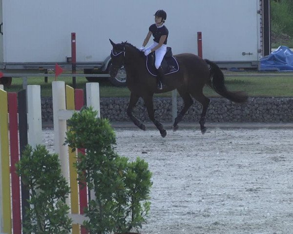 Reitturnier Ingolstadt-Hagau 2017