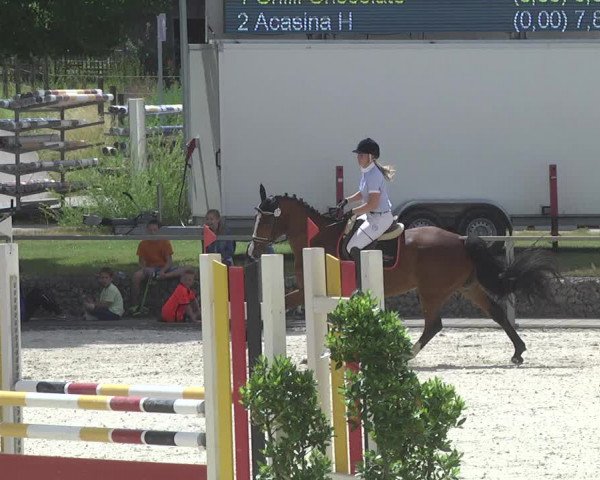 Reitturnier Ingolstadt-Hagau 2017