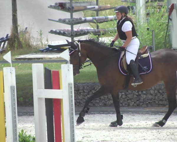 Reitturnier Ingolstadt-Hagau 2017