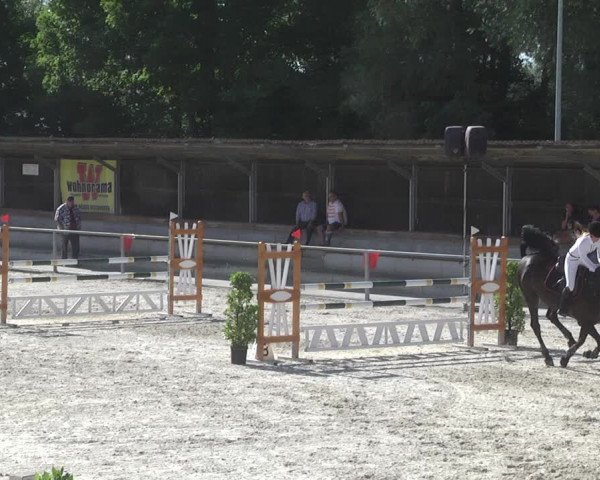 Reitturnier Ingolstadt-Hagau 2017