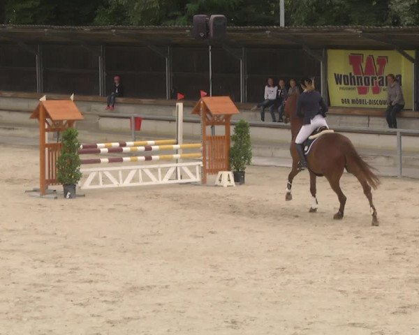 Reitturnier Ingolstadt-Hagau 2017