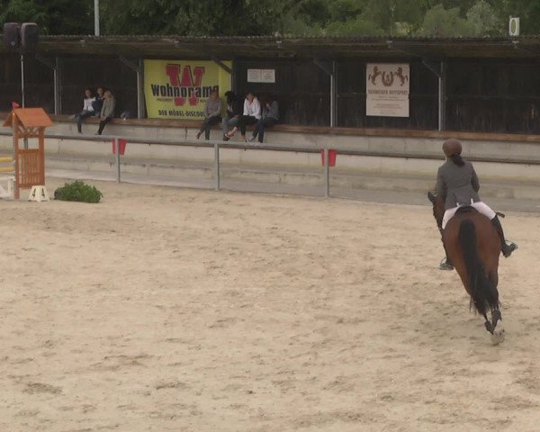 Reitturnier Ingolstadt-Hagau 2017